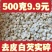 新货芡实干货新鲜自产碎茨实米易煮软糯香甜红皮苏茨实