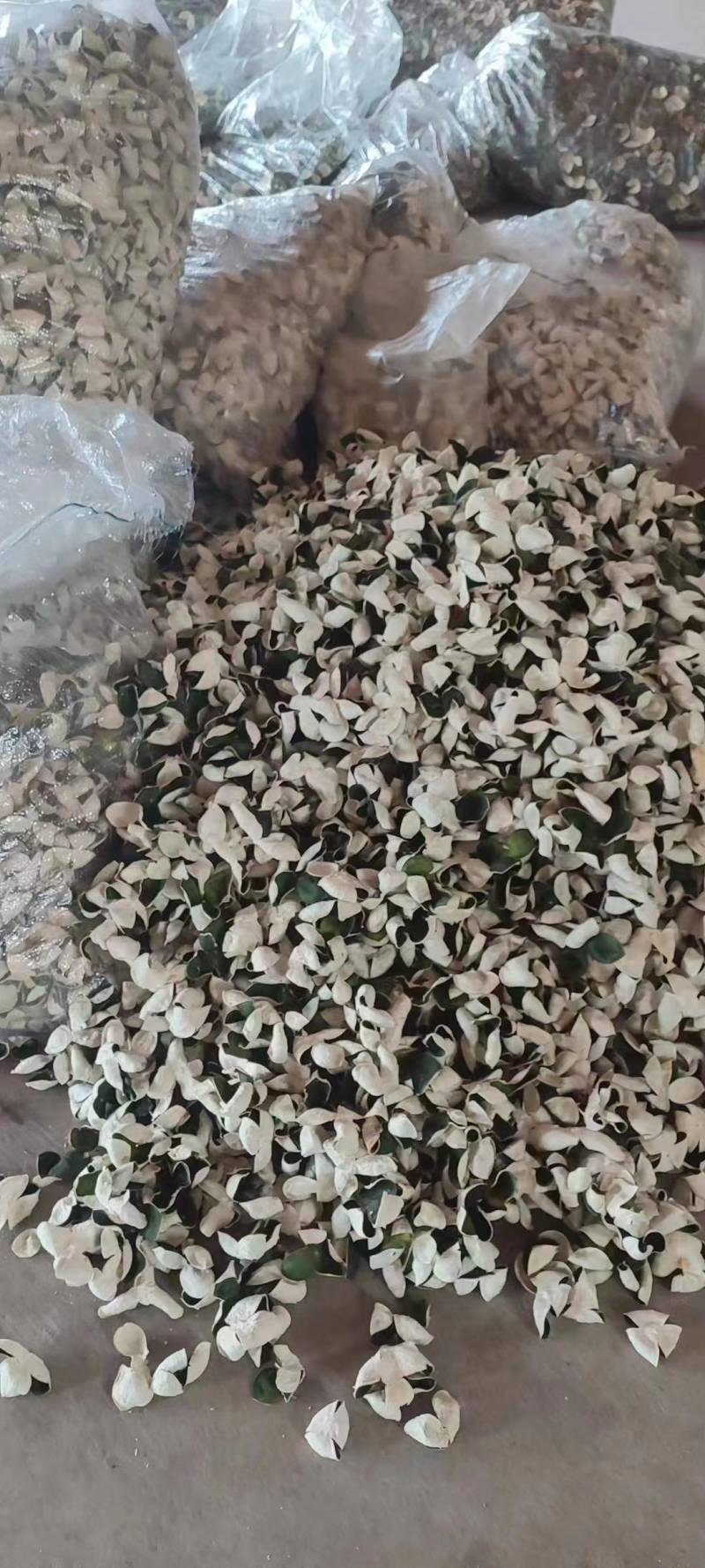 三花精品靑皮陈皮，大量有货质量保证，可视频看货，欢迎来电