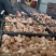 贵州干香菇产地直供，量大质优，欢迎客商实地考察
