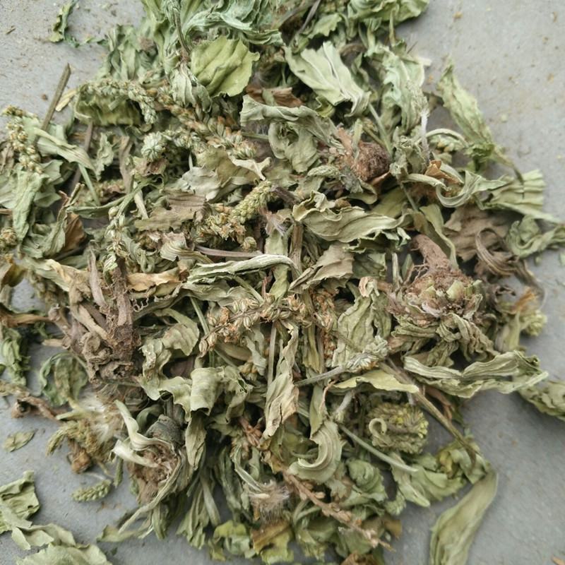 车前草产地山东统货永盛药业品种齐全质量好价格低