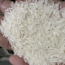 2022年新米香米猫牙米厂家直供量大从优质量保证