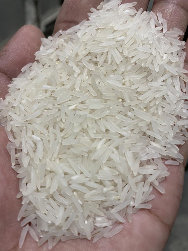 2022年新米香米猫牙米厂家直供量大从优质量保证