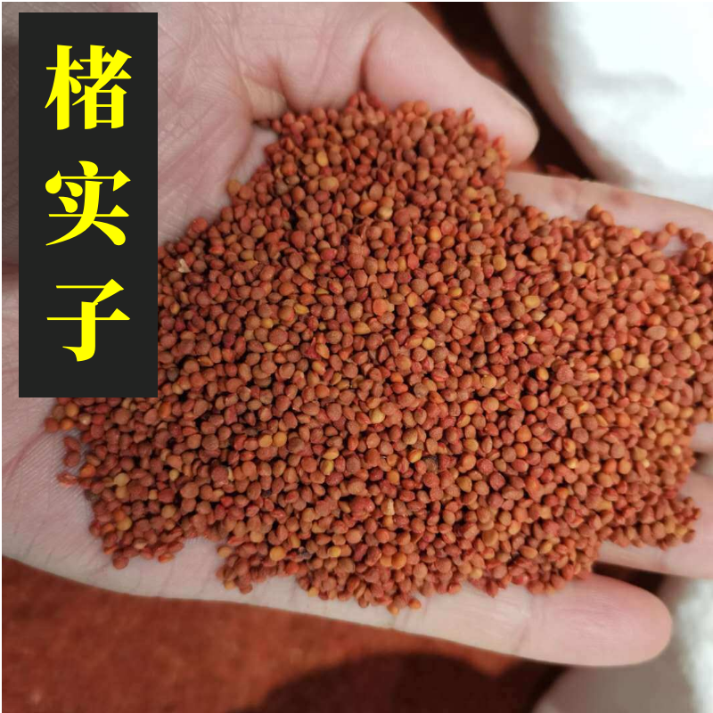 楮实子产地山东统货永盛药业品种齐全质量好价格低