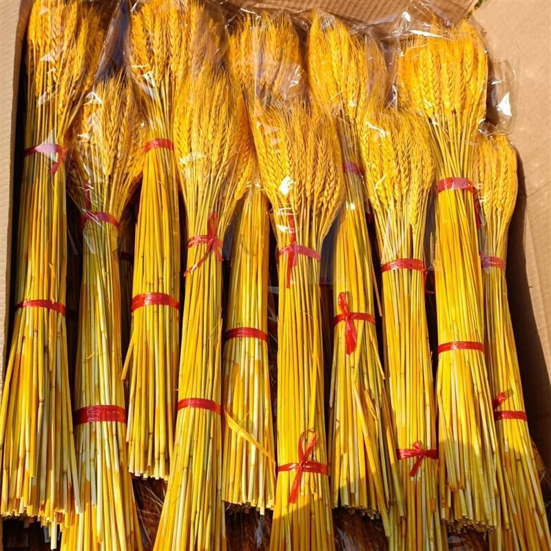 天然黄金麦穗干花花束开业大麦客厅田园装饰摆件干花插花道具