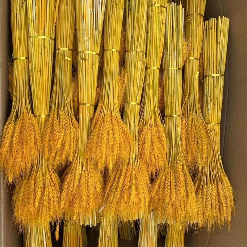 天然黄金麦穗干花花束开业大麦客厅田园装饰摆件干花插花道具