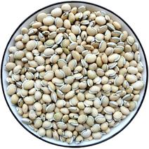 白扁豆产地四川生白扁豆永盛药业品种齐全质量好价格低