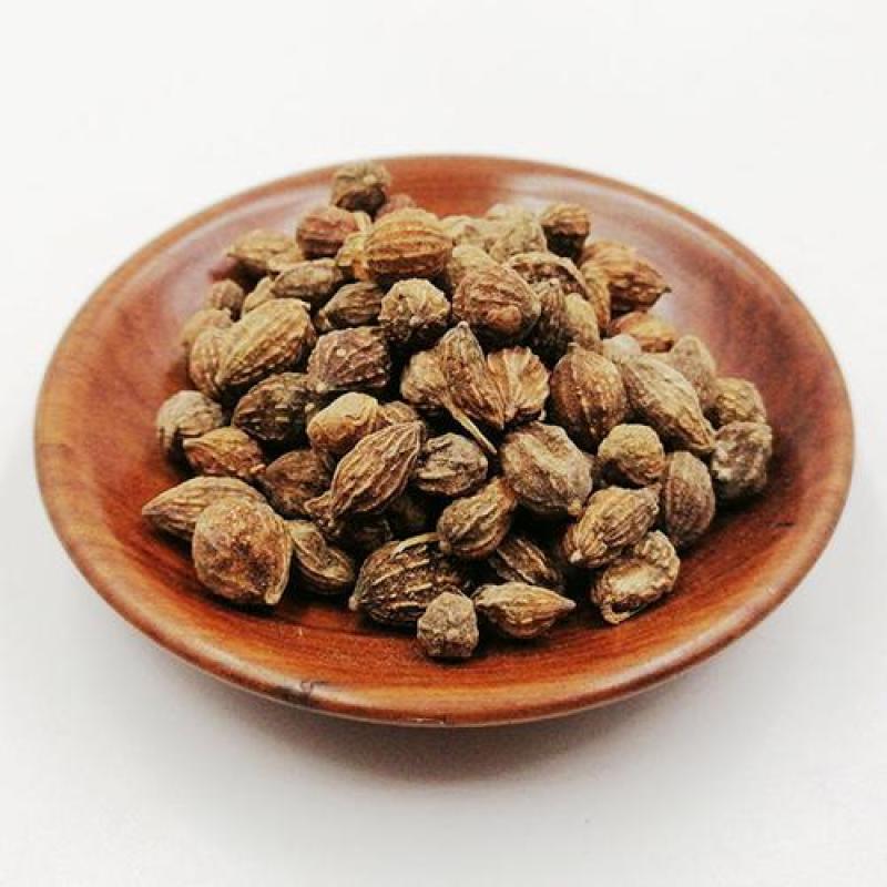 益智仁产地海南统货永盛药业品种齐全质量好价格低