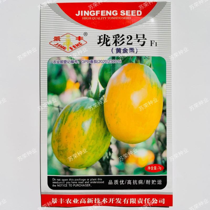 珑彩2号黄金果种子抗病早熟无限生长型肉厚籽少香甜清新番茄