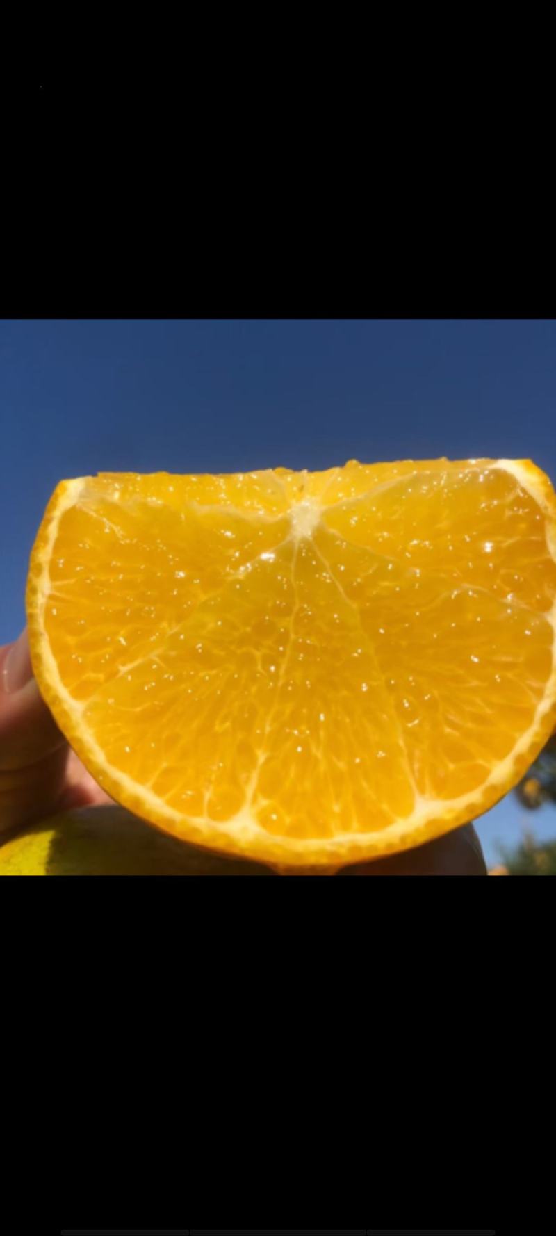 脐橙赣南脐橙皮薄多汁鲜嫩化渣果园直发全国供应