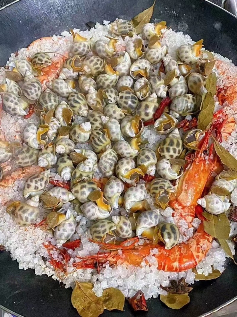 花螺东风螺海猪螺南风螺凤螺白灼社区团购餐饮批发