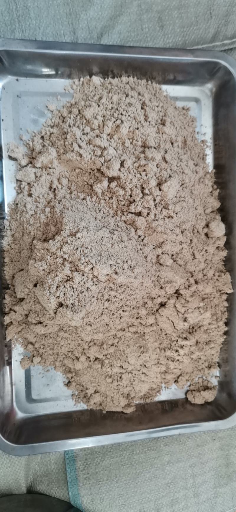 白耙齿菌