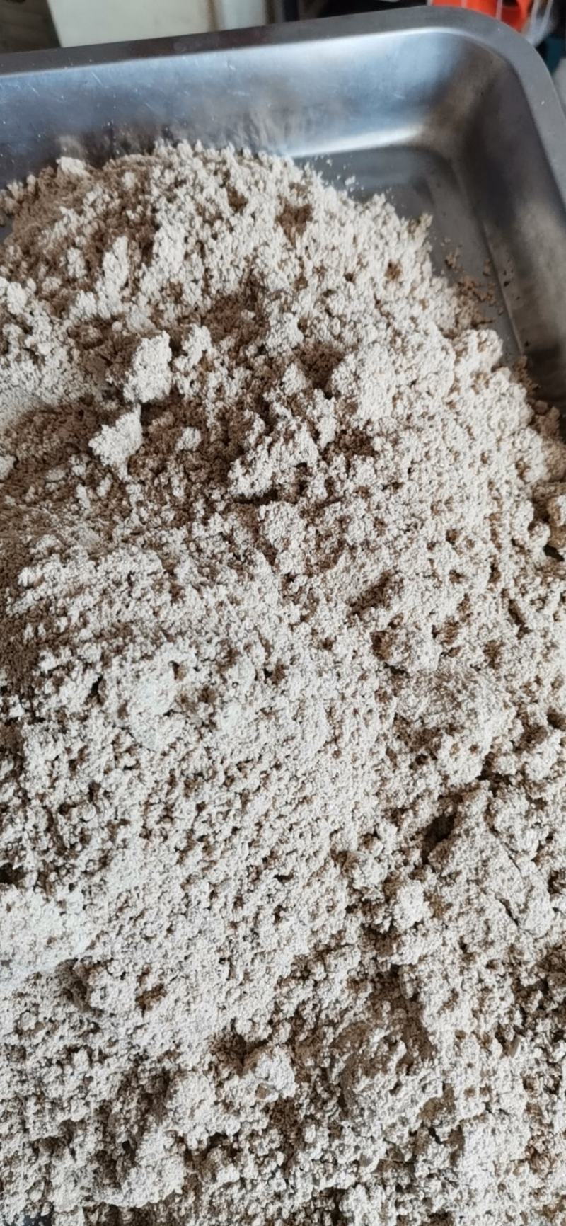 白耙齿菌