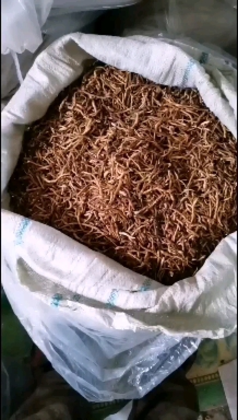 小黄根
