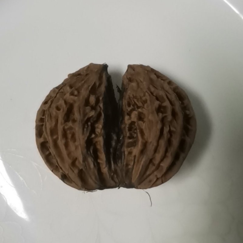 连体核桃