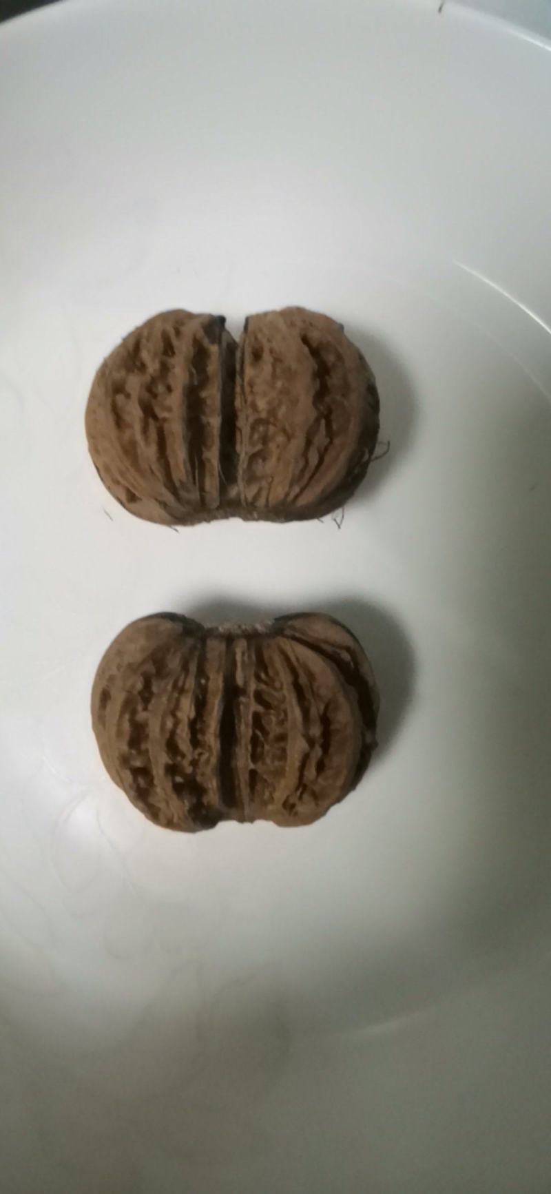 连体核桃