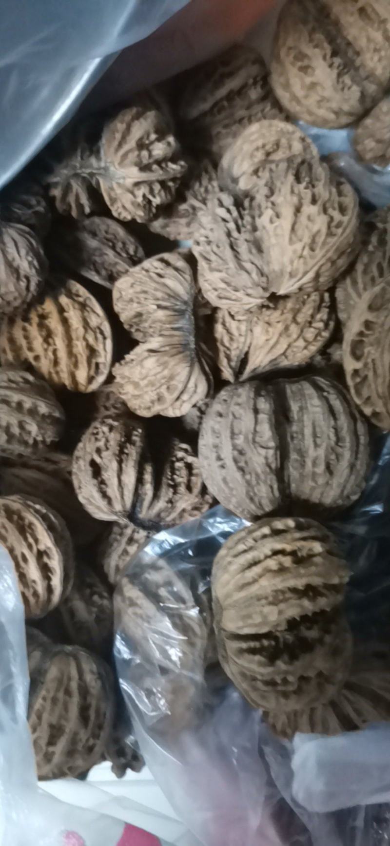 连体核桃