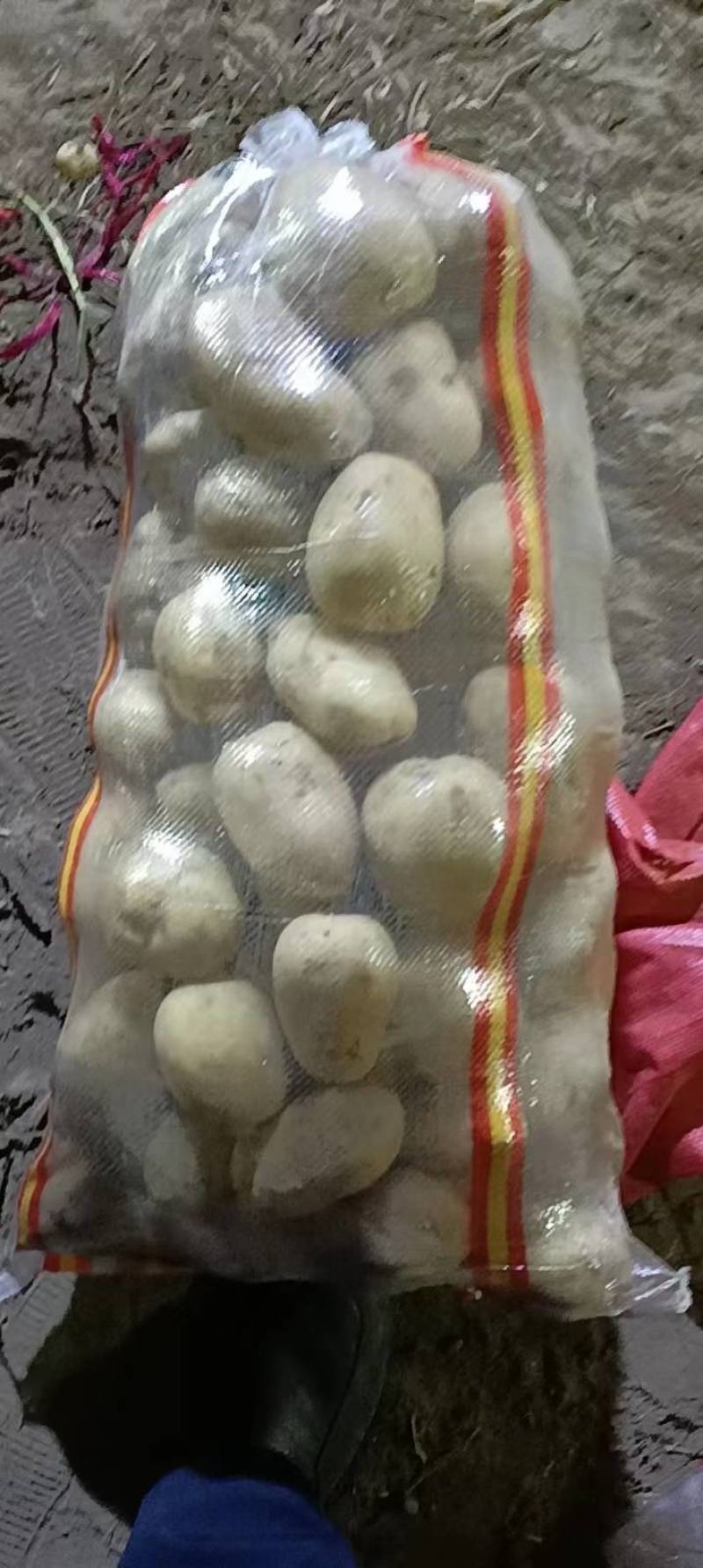 土豆种子批发价格，品种多，从北京总部基地发货，需要的钩通