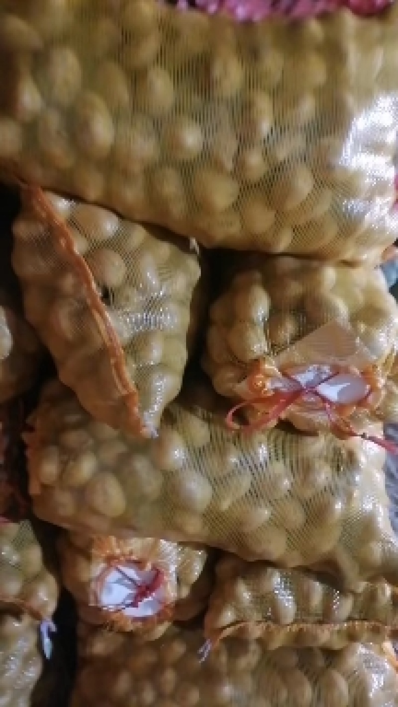 土豆种子批发价格，品种多，从北京总部基地发货，需要的钩通