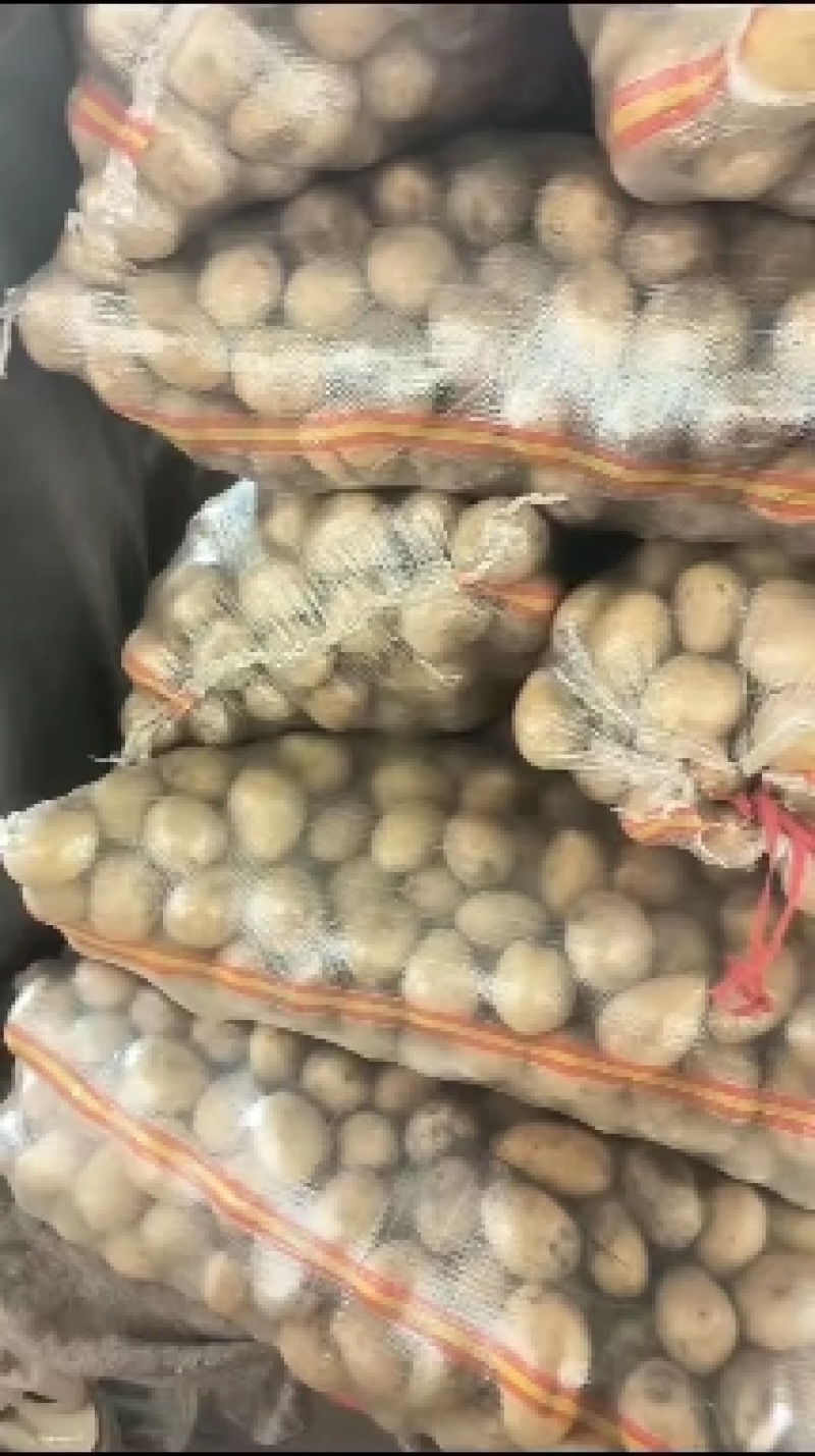 土豆种子批发价格，品种多，从北京总部基地发货，需要的钩通