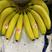 香蕉进口菲律宾佳农大量现货无花皮无黑心口感软糯