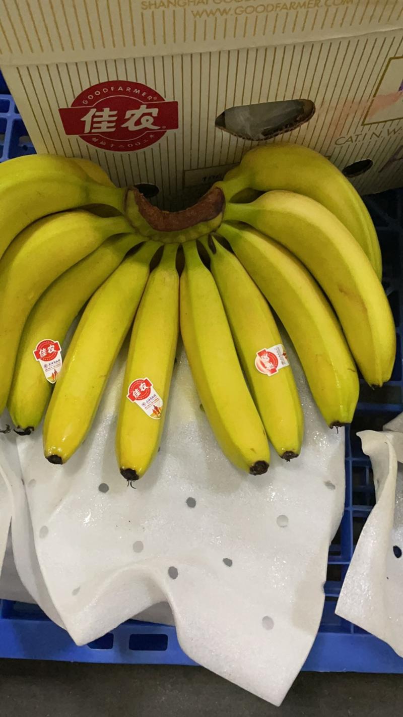 香蕉进口菲律宾佳农大量现货无花皮无黑心口感软糯