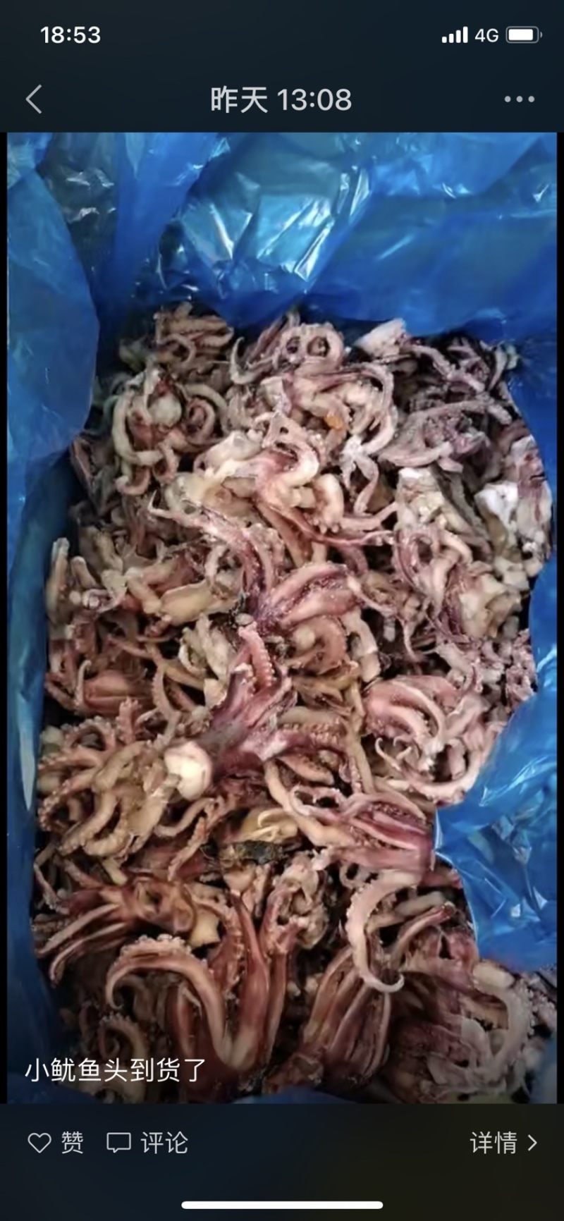 脆口八爪鱼