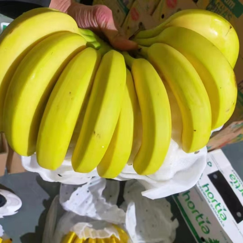 一手货源大量现货需要的抓紧时间联系《特价》