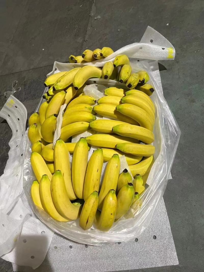 一手货源大量现货需要的抓紧时间联系《特价》