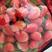 徐州万亩奶油草莓基地，品种齐全，已上量，价格实惠