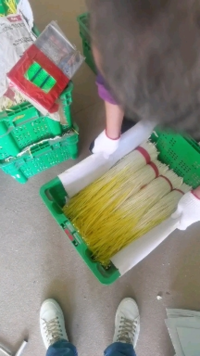 蒜黄大掉价一手货源保质保量诚信经营欢迎选购
