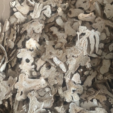 白术选货产地安徽永盛药业品种齐全质量好价格低