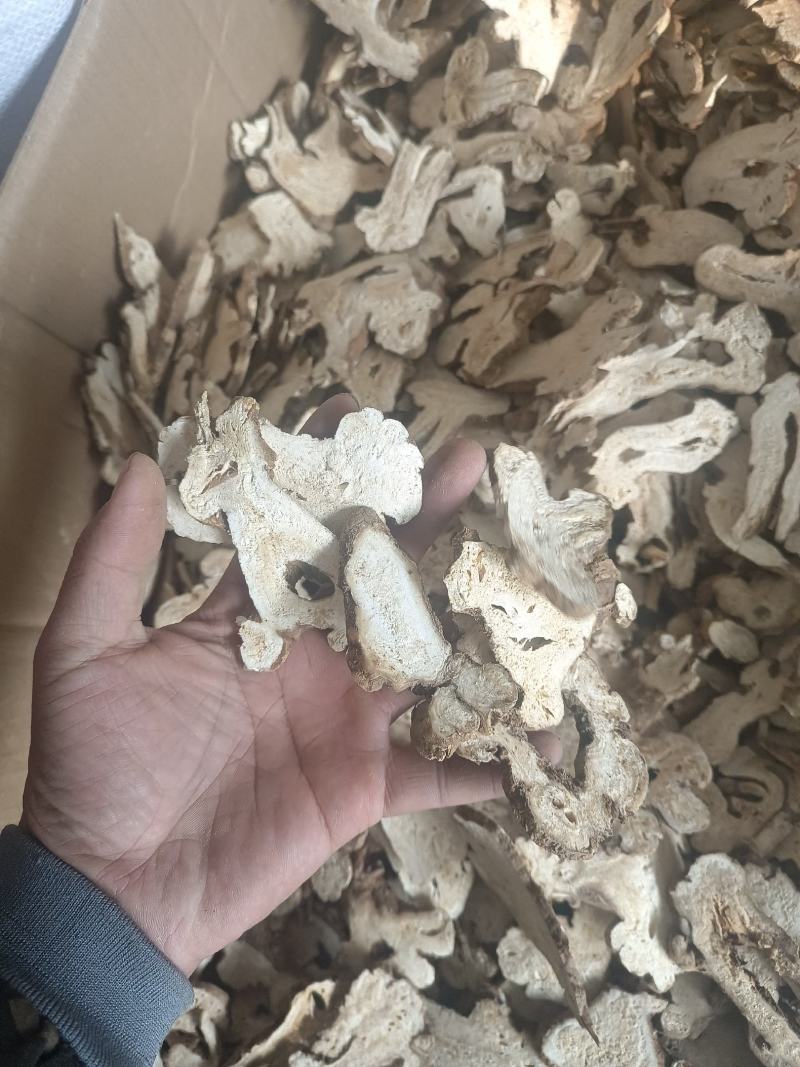 白术选货产地安徽永盛药业品种齐全质量好价格低