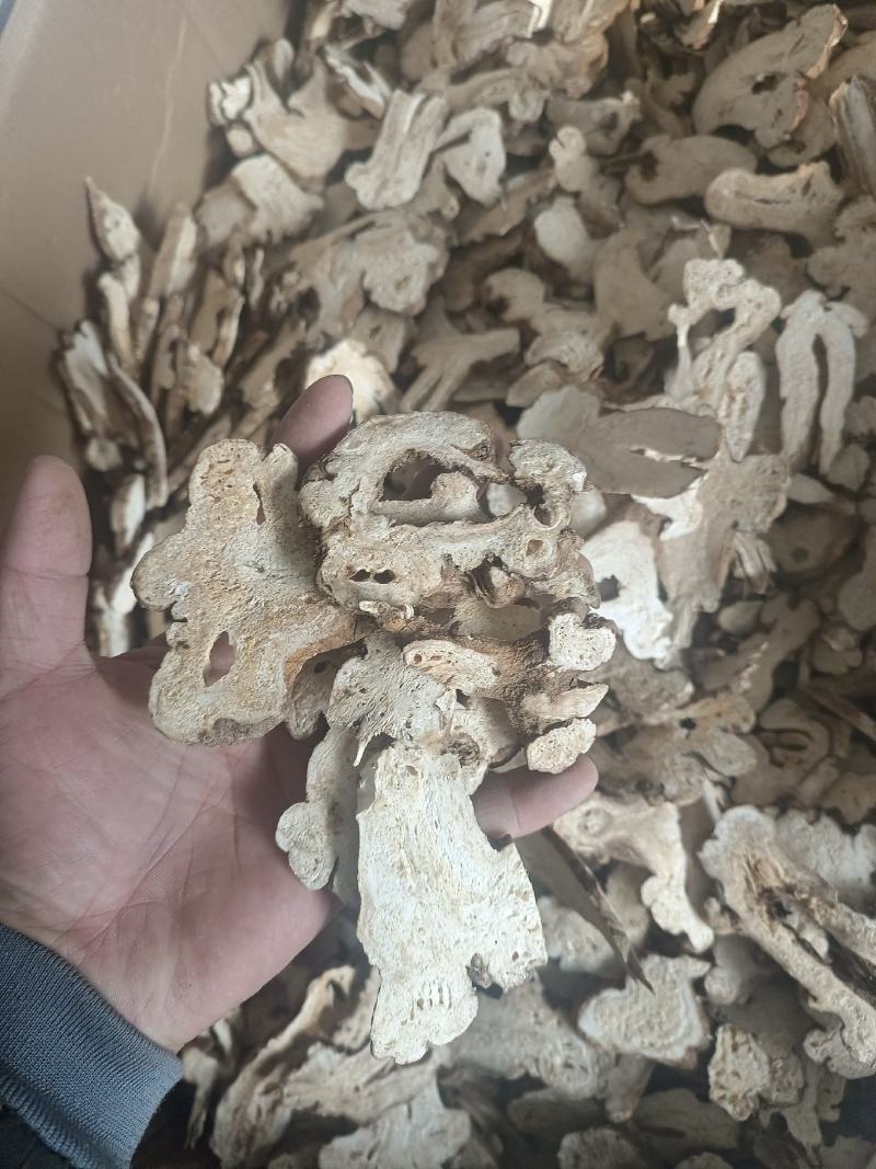 白术选货产地安徽永盛药业品种齐全质量好价格低