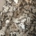 白术选货产地安徽永盛药业品种齐全质量好价格低
