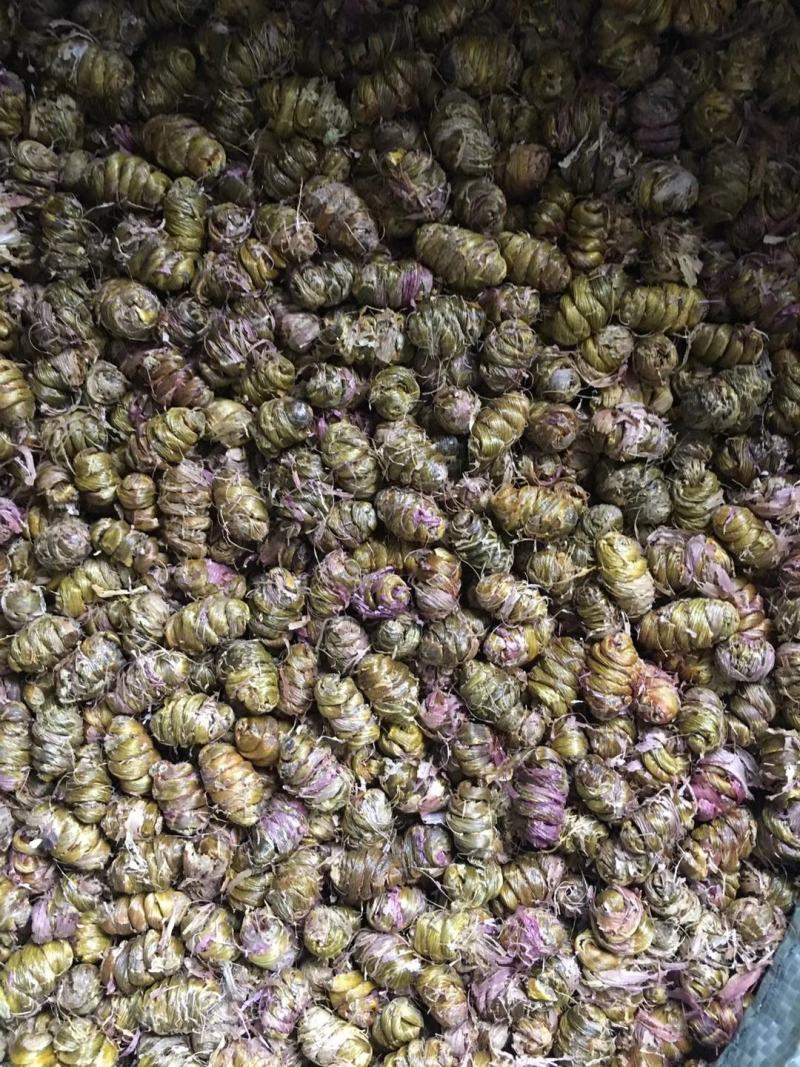 云南产地直发特价浙江雁荡山本地软脚铁皮枫斗胶质粘批发