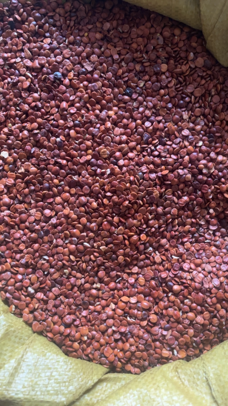枣仁进口舜稳达药业质量保证