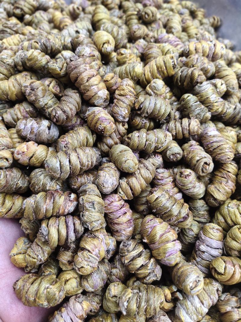 云南产地直发特价浙江雁荡山本地软脚铁皮枫斗胶质粘批发