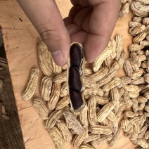 云南西双版纳傣族自治州版纳特产富硒黑花生