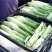 棒菜四川特产新鲜棒棒菜大量上市脑壳菜耐运输备货快耐运输