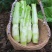 棒菜四川特产新鲜棒棒菜大量上市脑壳菜耐运输备货快耐运输