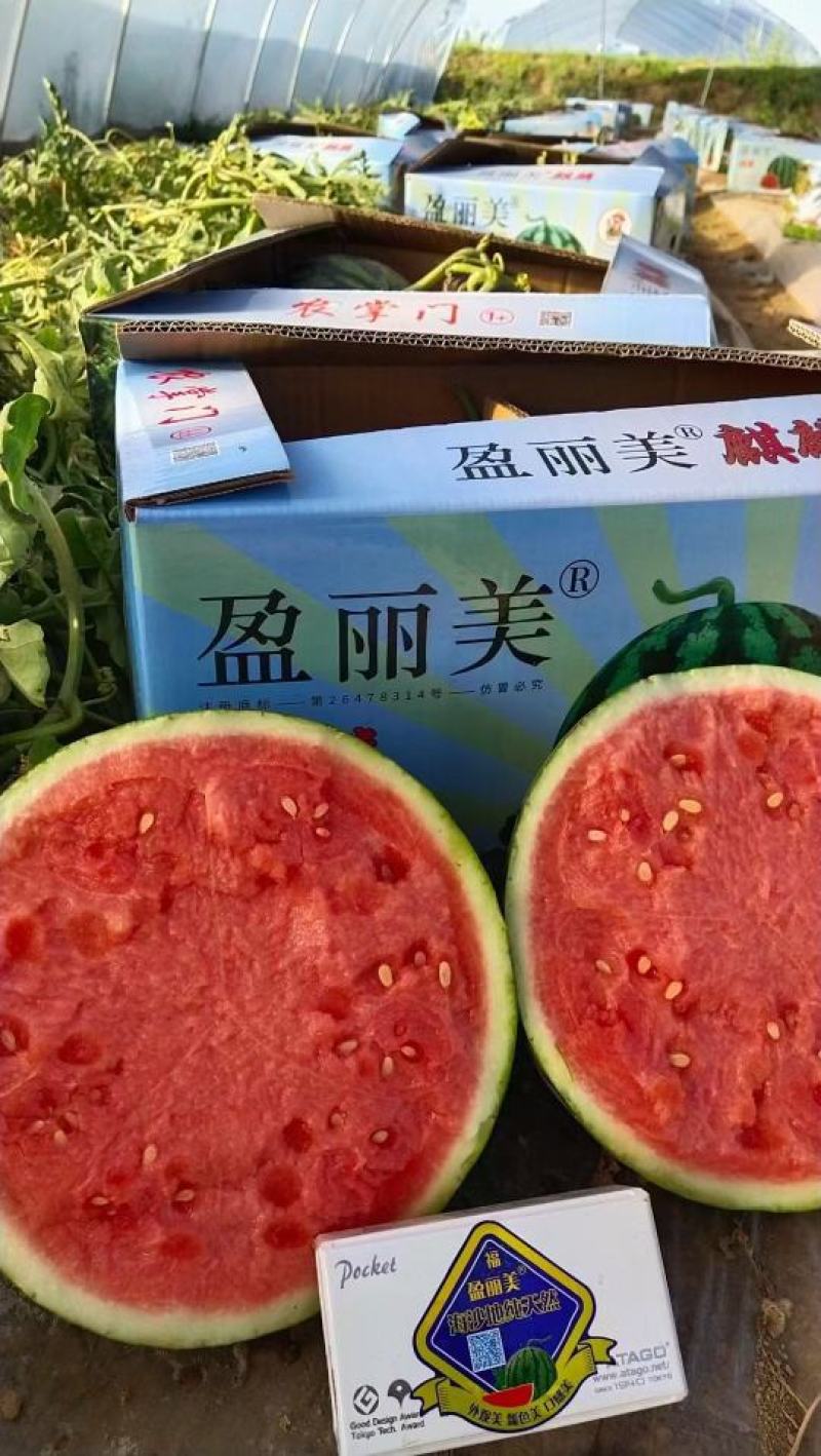 安生盈丽美F1西瓜种子大红瓤大果16斤以上圆形含糖量高