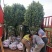 茶花