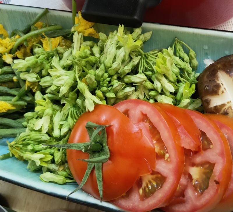 夜来香20斤食用本藤千里香种苗嫩芽花蕾酒店特色菜西餐野菜