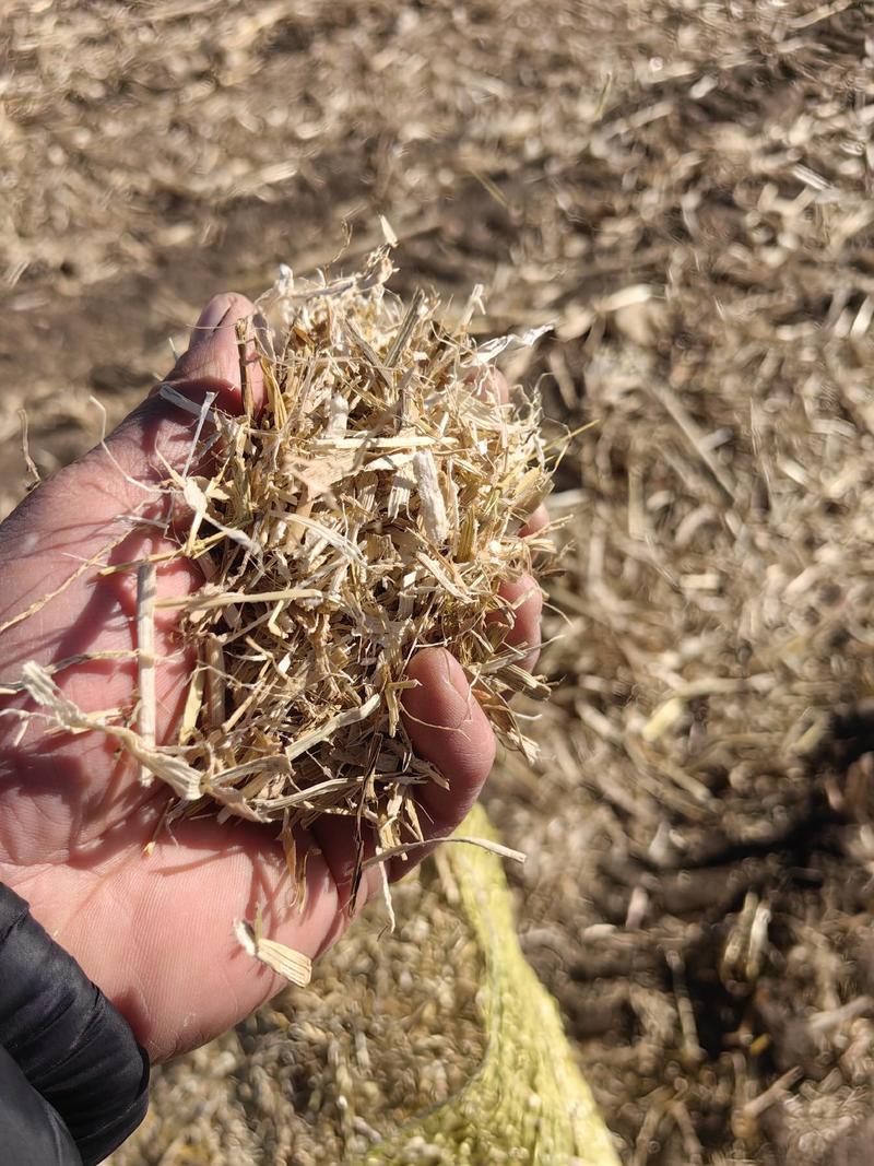 玉米秸秆草包，过夏草，经过三次除尘，无土无膜干净
