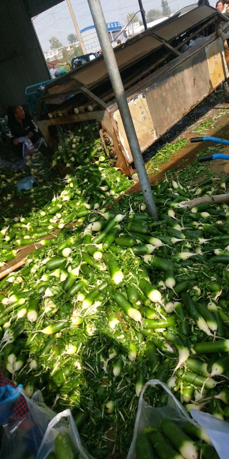 需要的请与我联系，