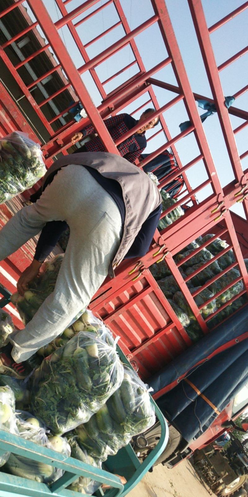 需要的请与我联系，