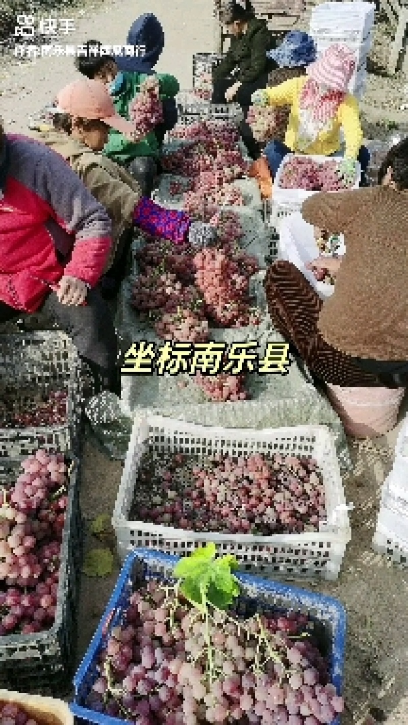 克伦生大量供应代收代发主要供应中等货源量大优惠