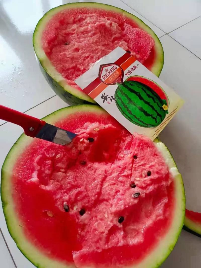 安生优美西瓜种子早熟大果耐低温易座果果皮硬不倒瓤