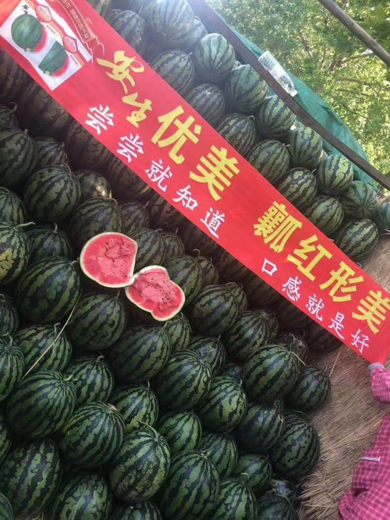 安生优美西瓜种子早熟大果耐低温易座果果皮硬不倒瓤
