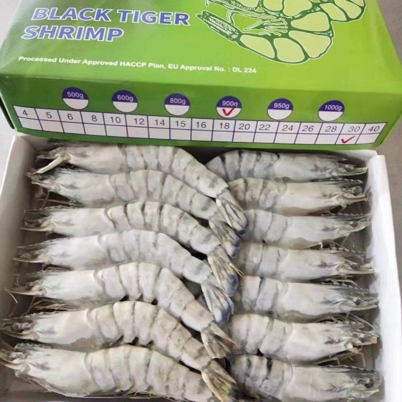 越南黑虎虾